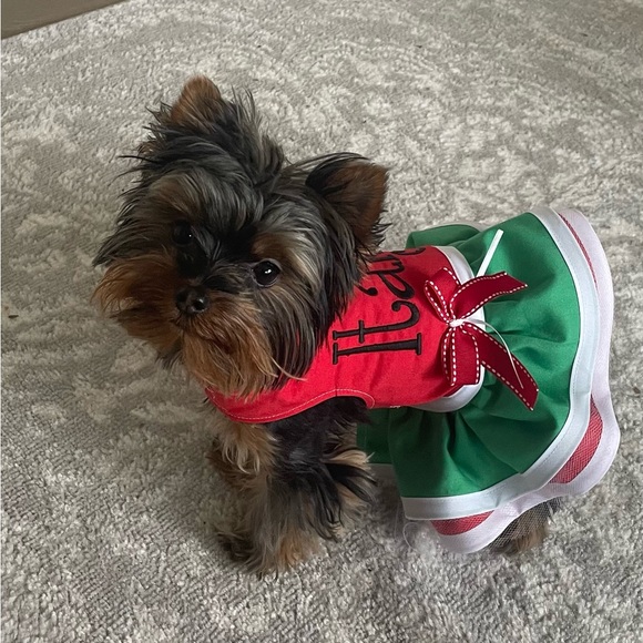 Dog dresses - boutique - Picture 11 of 11